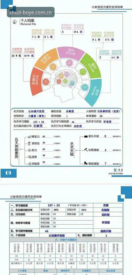 博业app平台深度评测：数字化服务平台的核心价值与用户体验全解析